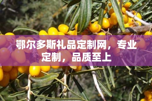 鄂尔多斯礼品定制网，专业定制，品质至上