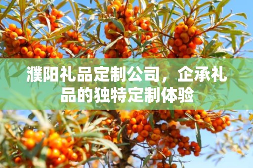 濮阳礼品定制公司，企承礼品的独特定制体验
