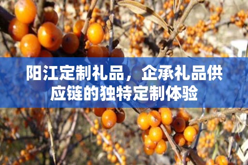 阳江定制礼品，企承礼品供应链的独特定制体验